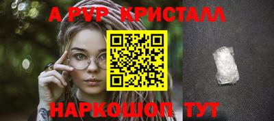 СК Камышлов