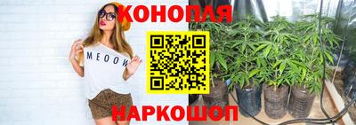 СК Камышлов